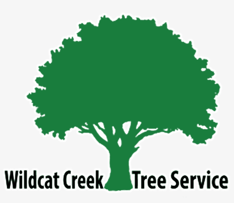 Oak Tree Silhouette Png, transparent png download