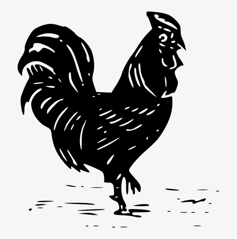 100 Gambar Siluet Unggas Terbaru