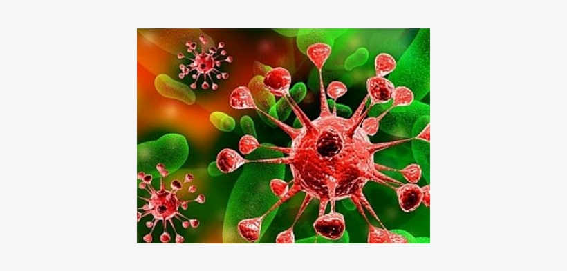 Surfing The Internet, Reading Your Email Or Just Using - Usmle Step 1 Lecture Notes 2016 - Immunology, transparent png download