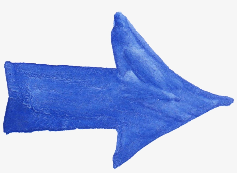 Free Download - Shark, transparent png download