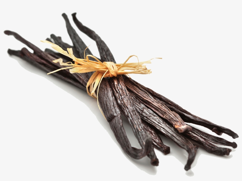 Vanilla Bean Png Photos - Vanilla Bean Png, transparent png download