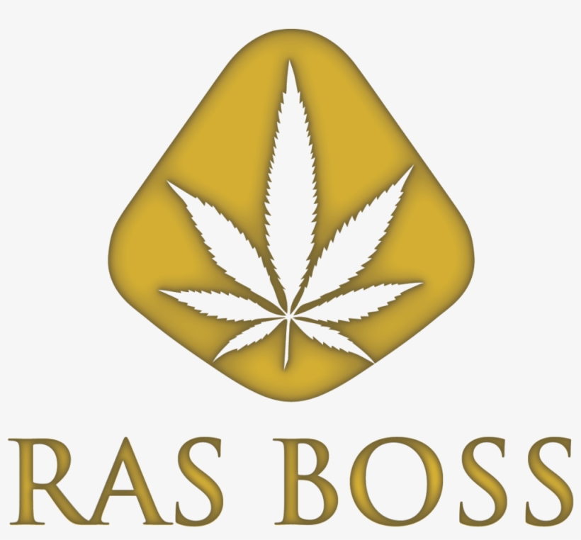 Rasboss - Gold, transparent png download