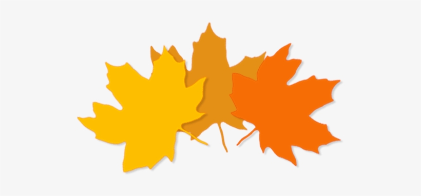 Https - //i2 - Wp - Com/sacdinkers - Org/wp Leaves - Leaf, transparent png download