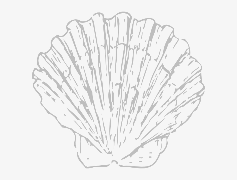 Seashell Clip Art At Clker Com Online - Blue Seashell Png, transparent png download