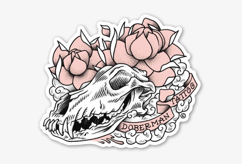 doberman skull