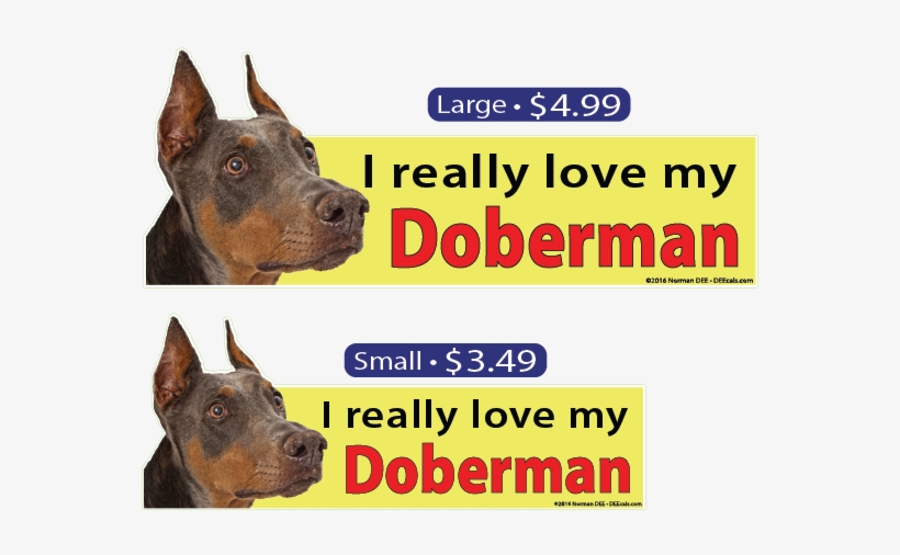 I Love My Doberman - Dog, transparent png download