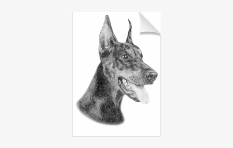 Doberman - Scottish Terrier, transparent png download