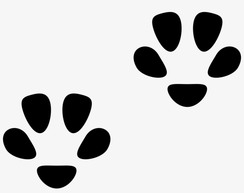Pawprints - - Huellas De Gato Jpg, transparent png download