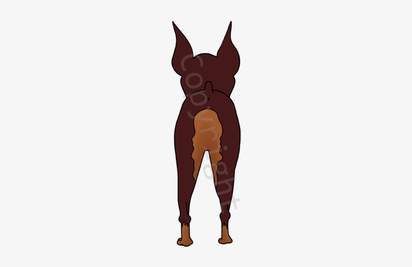 Big Nose Doberman Shirts - Dobermann, transparent png download