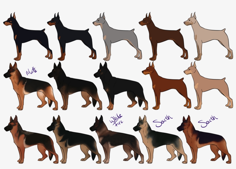 Drawn German Pinscher Deviantart Doberman Pinscher German Pinscher Png Image Transparent Png Free Download On Seekpng