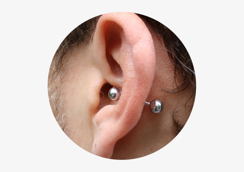 Section Featured Image - Conch Piercing, transparent png download