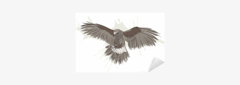 Sketch, transparent png download