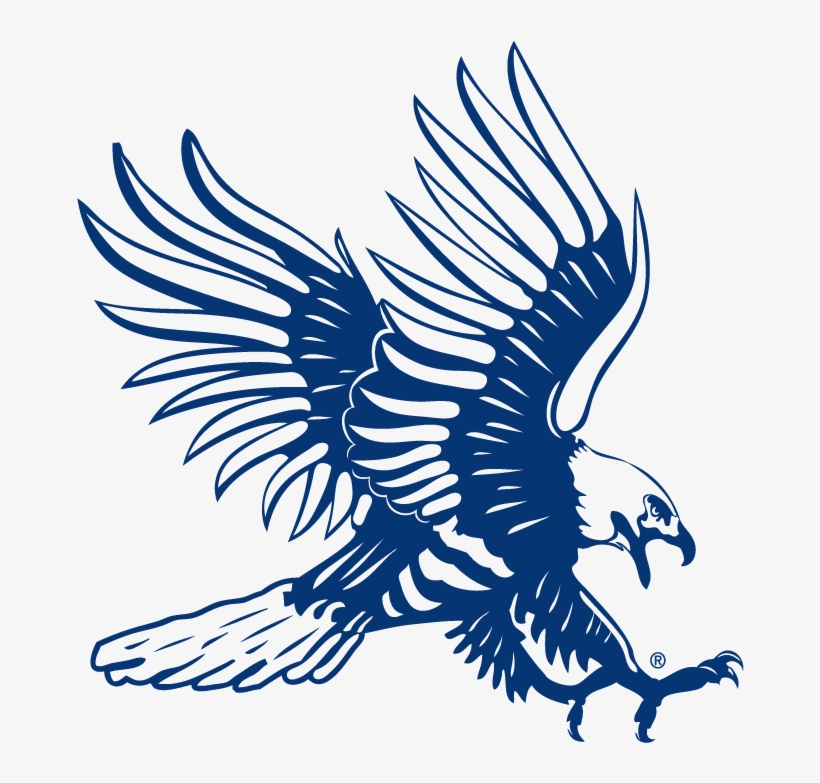 Athletic Hawk Outline Blue Dickinson State University Png Image Transparent Png Free Download On Seekpng