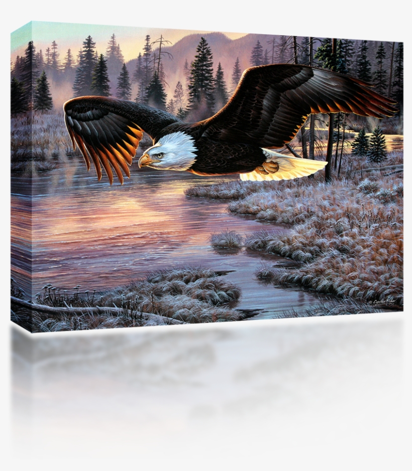 American Eagle - Northern Promotions Framed Art - Dawn's Early Flight, transparent png download