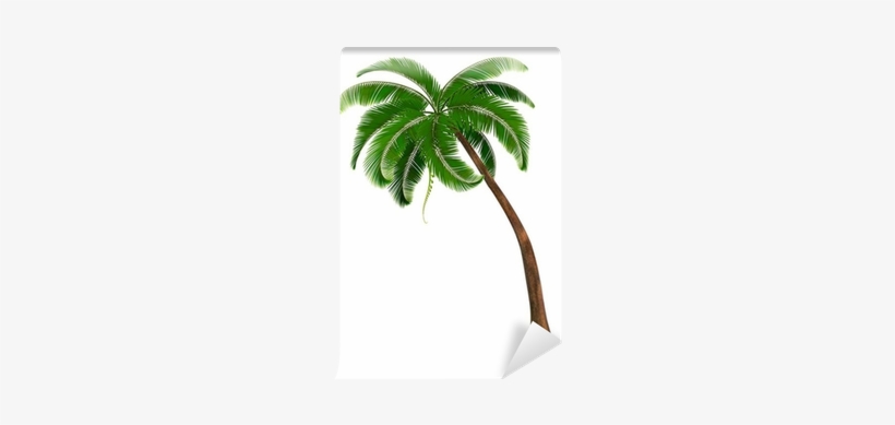 Background With A Palm Tree - Palm Trees, transparent png download
