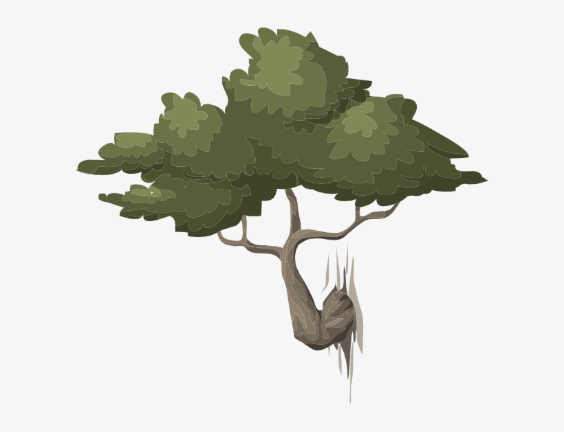 How To Set Use Mountain Bonsai Clipart, transparent png download