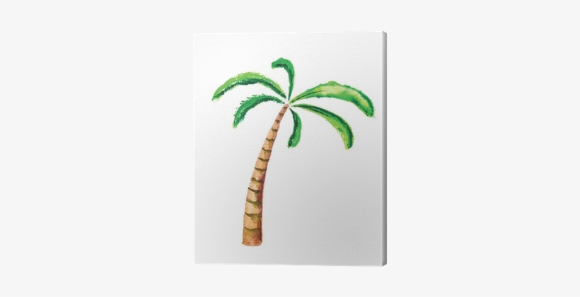 Palm Tree, Watercolour Vector Illustration Canvas Print - Kolay Palmiye Ağacı Çizimi, transparent png download
