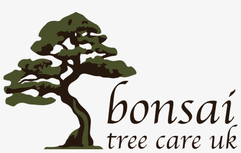 Bonsai Tree Care - Illustration, transparent png download
