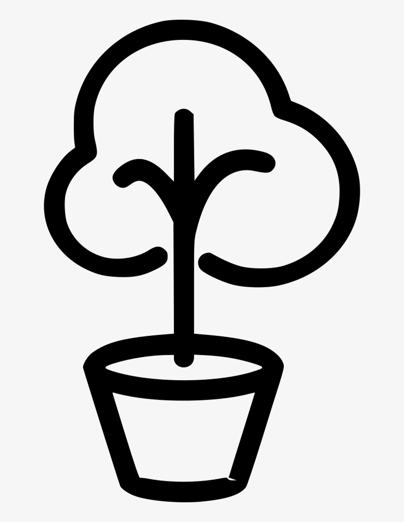 Bonsai Tree Plant Green Comments - Bonsai, transparent png download