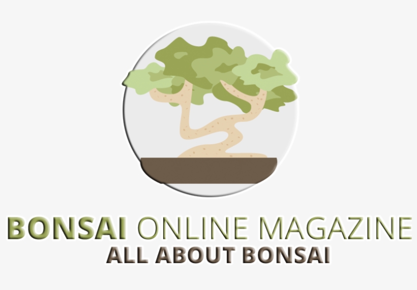 Bonsai Online Business Magazine - Information, transparent png download