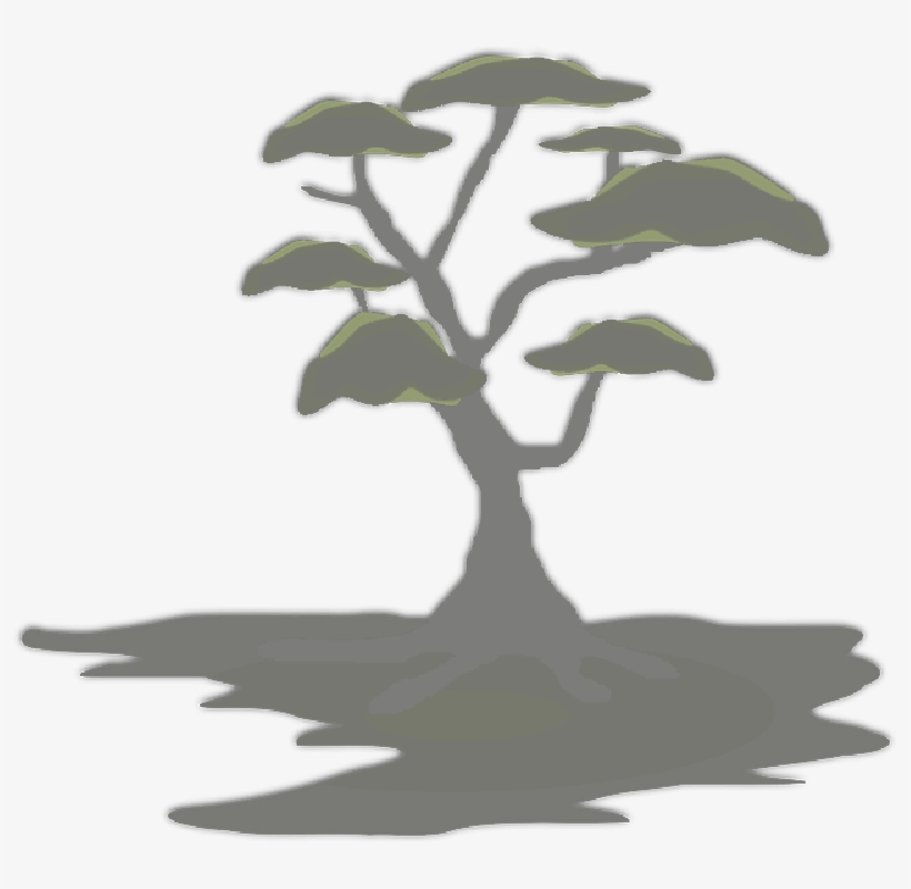 Mb Image/png - Silhouette Bonsai Tree Png, transparent png download