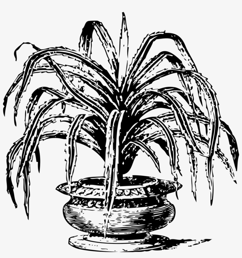 How To Set Use Candelabrum Tree Clipart, transparent png download