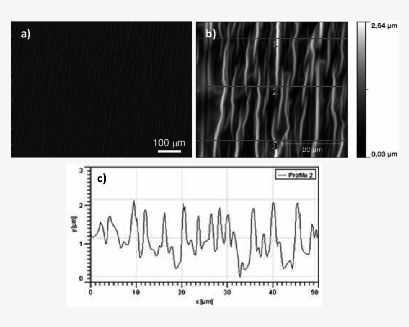 Microscopic Characterization Of Nano-wrinkles By Means - Atomic Force Microscopy, transparent png download