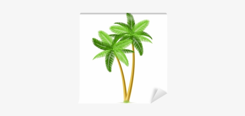 Tropical Palm Trees - Flamingo Nest, transparent png download