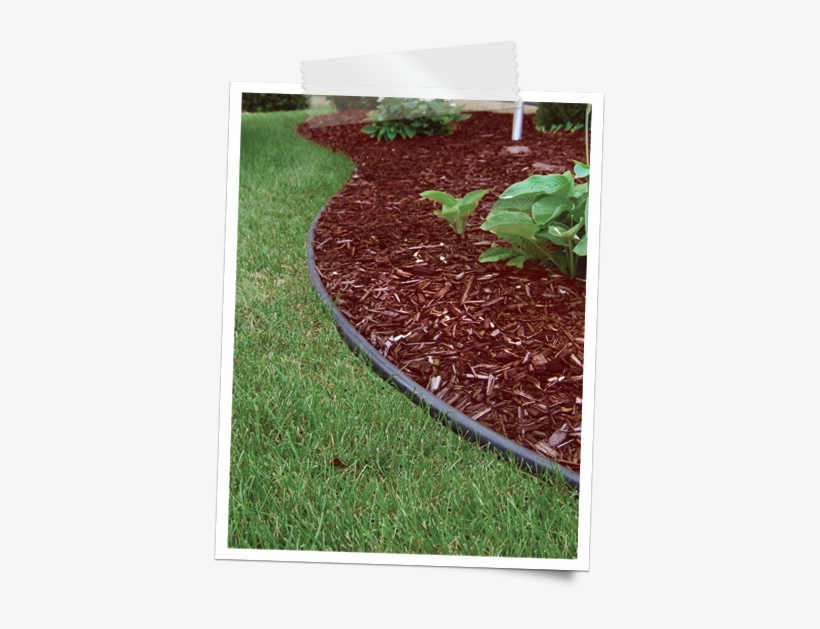 Lawn Clipart Grass Edge - Pocono Mountains, transparent png download