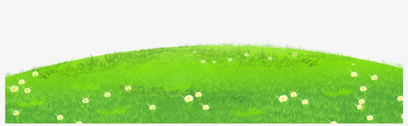 Grass With Daisies Png Clipart - Grass Png Clipart, transparent png download