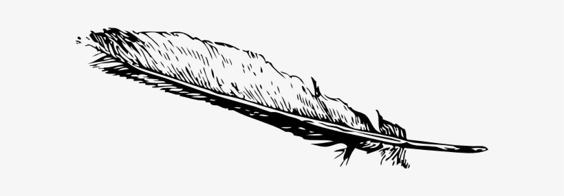 Free Vector Feather Clip Art - Feather Clip Art Png, transparent png download