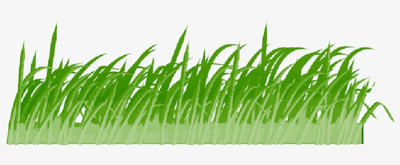 Mb Image/png - Grass Cartoon Transparent, transparent png download