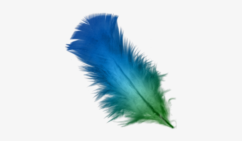Feather Psd - Purple Feather Png, transparent png download