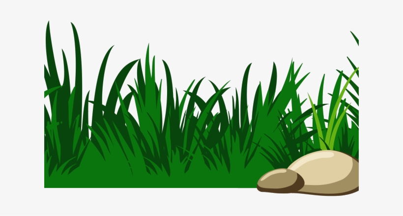 Grass Clipart - Clear Background Grass Clipart, transparent png download