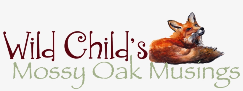 Wild Child's Mossy Oak Musings - Moon Child Quotes, transparent png download