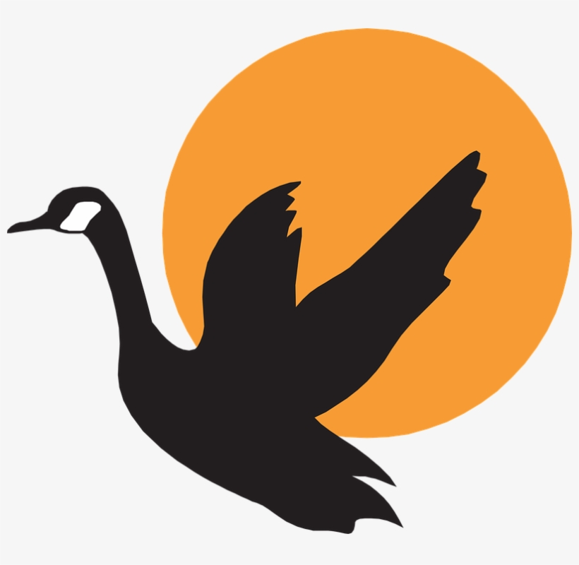 Silhouette Flying Free Vector Graphic On Pixabay - Goose Vector, transparent png download