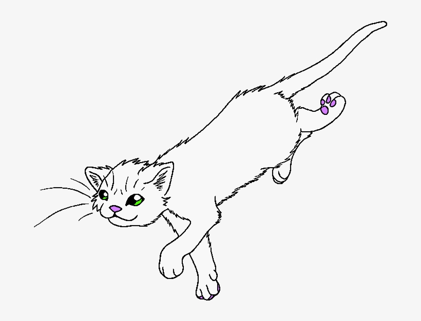 Spider Paw - Warriors, transparent png download