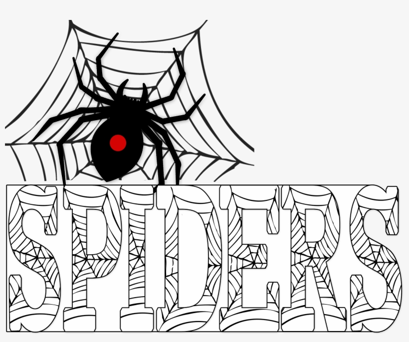Spiders Can Be Fun To Learn About - Spider Web Throw Blanket, transparent png download