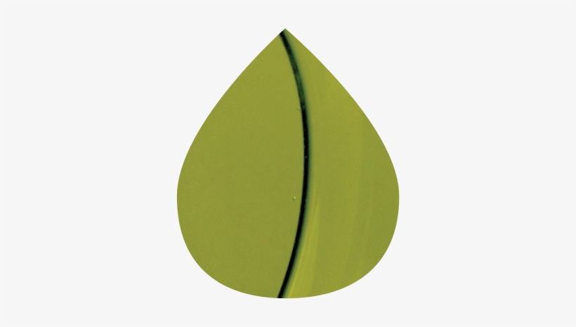 Greenland Olive Oil - Olive Oil, transparent png download
