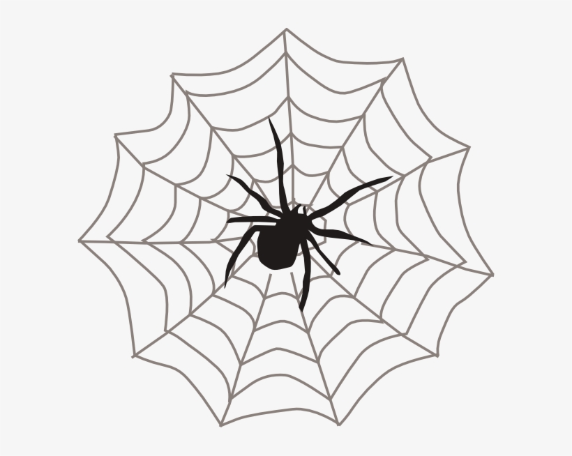 Spider Clipart, transparent png download