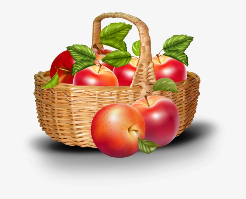 Rubrics - Free Vector Fruit, transparent png download