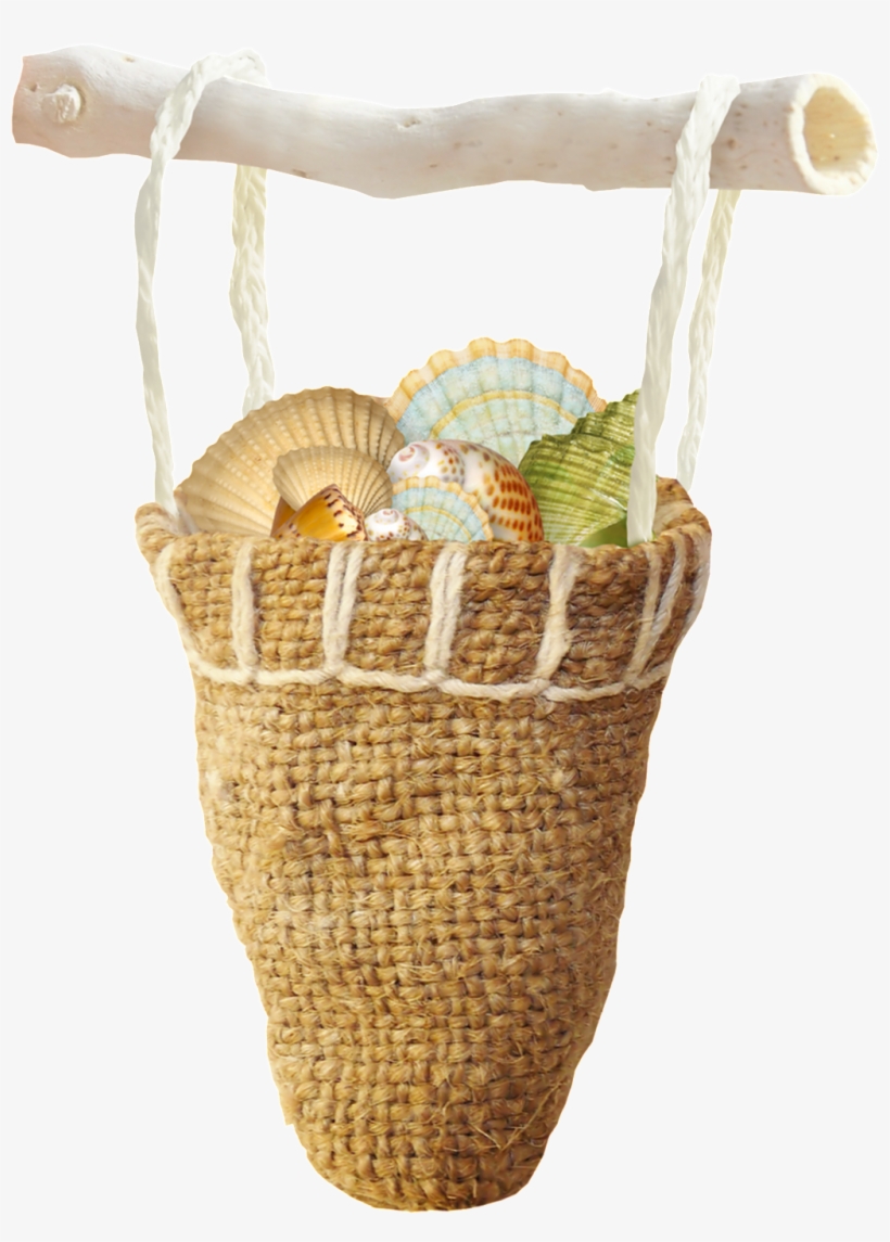 Seashell, transparent png download