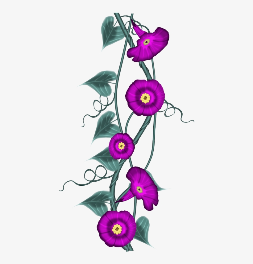 Kisses For You Flower - Morning Glory, transparent png download