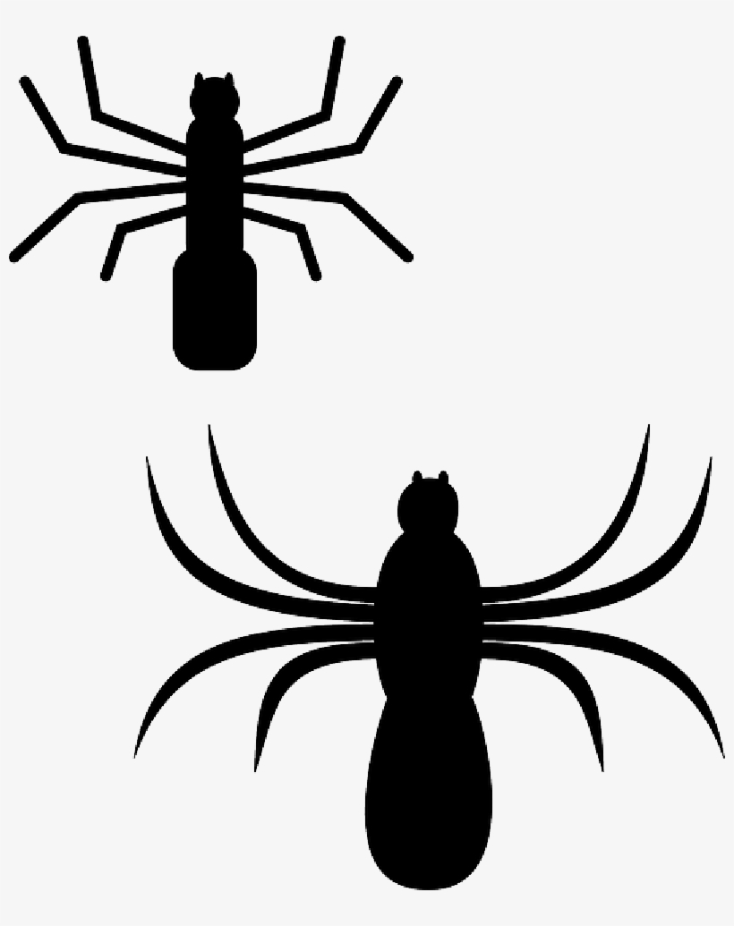Insects - Clipart Spiders, transparent png download