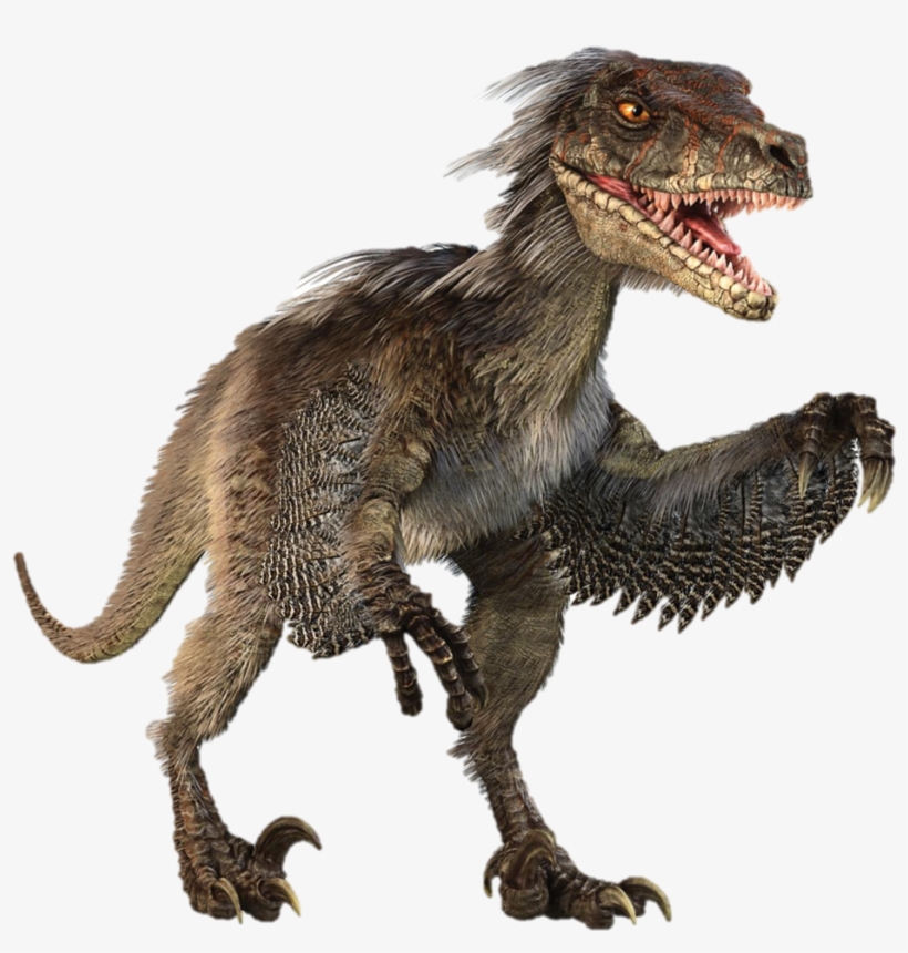 Velociraptor Transparent Vince Carter - Dinosaurs Png, transparent png download