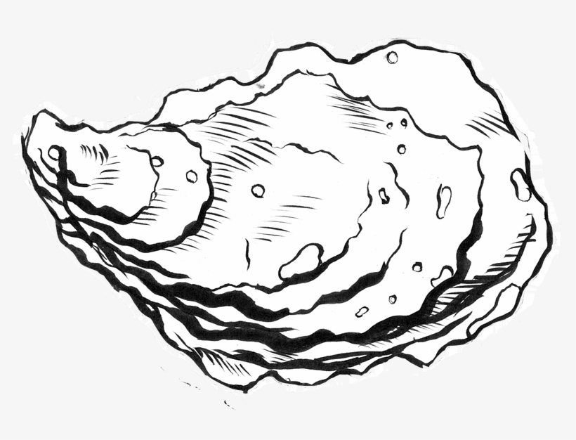 Collection Of Line Drawing High Quality - Pacific Oyster, transparent png download