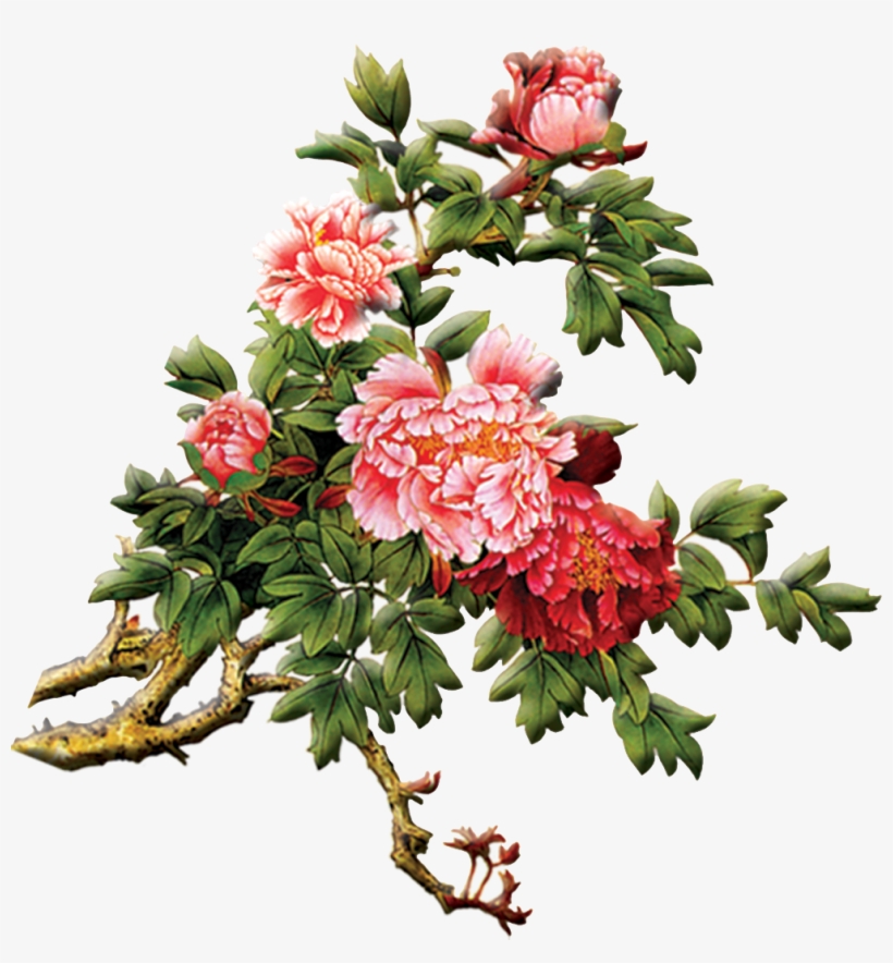 Silk Ribbon Embroidery, Floral Embroidery, Antique - Chinese Painting Peony Png, transparent png download