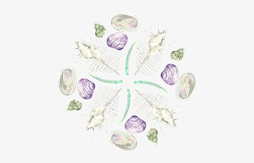 Click And Drag To Re-position The Image, If Desired - Craft, transparent png download
