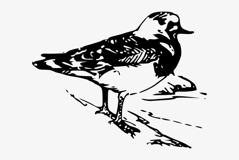 Original Png Clip Art File Walking Bird Silhouette, transparent png download