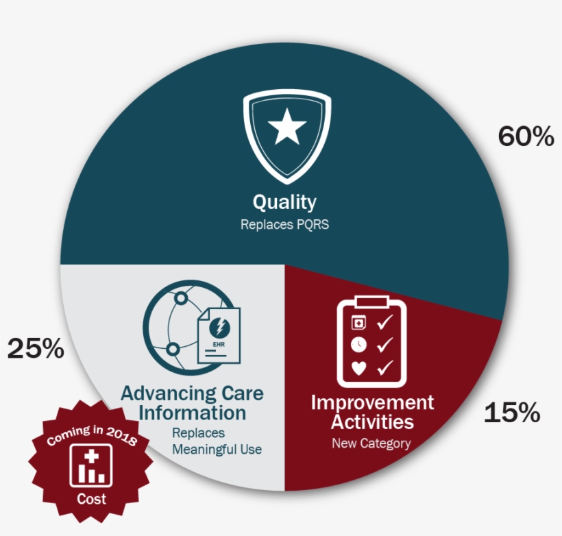 Benchmarking At Individual Provider And Group (tin) - Circle, transparent png download